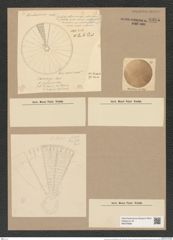 Arachnodiscus ehrenbergii Bail. et Ehr. (de-Toni-Nr.: Genus 204, Species 5210) Zeichnungen Sammlung Grunow Nr. 8995 (NHMW-BOT-W0378696)